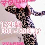 ヒメ日記 2026/01/17 14:30 投稿 あさみ マダム西船橋