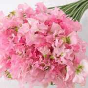 ヒメ日記 2026/01/18 20:00 投稿 あさみ マダム西船橋