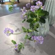 ヒメ日記 2026/01/27 21:10 投稿 あさみ マダム西船橋