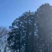 ヒメ日記 2026/01/31 11:50 投稿 あさみ マダム西船橋