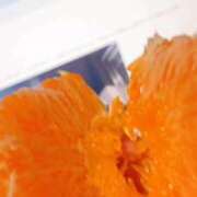 ヒメ日記 2026/02/03 15:50 投稿 あさみ マダム西船橋