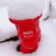 ヒメ日記 2026/02/08 11:50 投稿 あさみ マダム西船橋