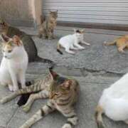 ヒメ日記 2026/02/22 16:50 投稿 あさみ マダム西船橋