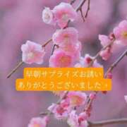 ヒメ日記 2026/03/01 20:50 投稿 あさみ マダム西船橋