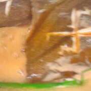 ヒメ日記 2026/03/06 20:30 投稿 あさみ マダム西船橋