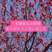 ヒメ日記 2026/03/17 20:40 投稿 あさみ マダム西船橋
