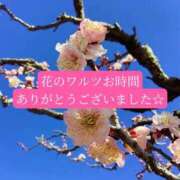 ヒメ日記 2026/03/23 21:00 投稿 あさみ マダム西船橋