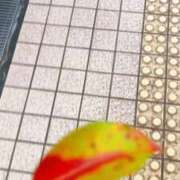 ヒメ日記 2026/03/31 17:54 投稿 あさみ マダム西船橋