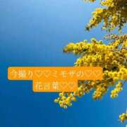 ヒメ日記 2026/04/06 09:00 投稿 あさみ マダム西船橋