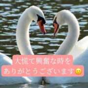 ヒメ日記 2026/04/14 20:20 投稿 あさみ マダム西船橋