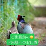 ヒメ日記 2026/04/22 20:20 投稿 あさみ マダム西船橋