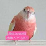ヒメ日記 2026/04/28 20:40 投稿 あさみ マダム西船橋