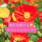 ヒメ日記 2026/05/12 20:00 投稿 あさみ マダム西船橋
