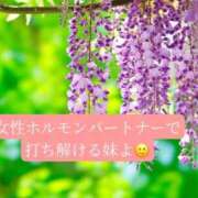 ヒメ日記 2026/05/14 21:20 投稿 あさみ マダム西船橋