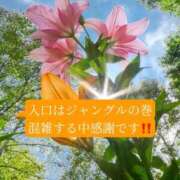 ヒメ日記 2026/06/11 21:10 投稿 あさみ マダム西船橋
