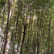 ヒメ日記 2026/06/13 10:50 投稿 あさみ マダム西船橋