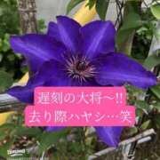 ヒメ日記 2026/06/26 20:00 投稿 あさみ マダム西船橋