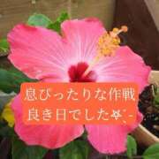 ヒメ日記 2026/07/07 20:20 投稿 あさみ マダム西船橋