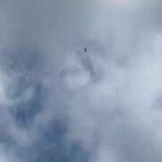 ヒメ日記 2026/07/09 10:00 投稿 あさみ マダム西船橋