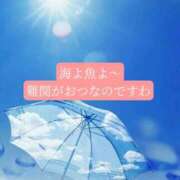ヒメ日記 2026/07/13 20:30 投稿 あさみ マダム西船橋
