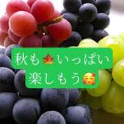ヒメ日記 2026/09/11 20:50 投稿 あさみ マダム西船橋