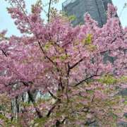 ヒメ日記 2025/03/22 20:42 投稿 みゆ 贅沢なひと時