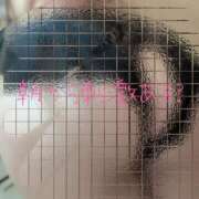 ヒメ日記 2025/08/27 08:09 投稿 唯（ゆい） 人妻の蜜