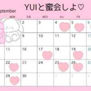 ヒメ日記 2025/09/04 01:53 投稿 唯（ゆい） 人妻の蜜