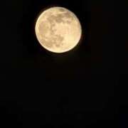 ヒメ日記 2025/12/06 19:19 投稿 唯（ゆい） 人妻の蜜