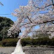 ヒメ日記 2025/04/07 20:46 投稿 めぐみ 人妻の品格(福岡)