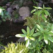 ヒメ日記 2025/05/14 14:30 投稿 めぐみ 人妻の品格(福岡)