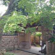 ヒメ日記 2025/05/15 15:14 投稿 めぐみ 人妻の品格(福岡)