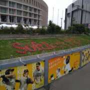 ヒメ日記 2025/06/11 14:36 投稿 めぐみ 人妻の品格(福岡)