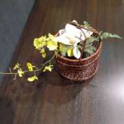 ヒメ日記 2025/07/08 20:41 投稿 めぐみ 人妻の品格(福岡)