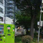 ヒメ日記 2025/07/09 16:09 投稿 めぐみ 人妻の品格(福岡)