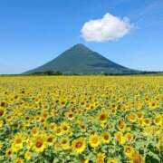 ヒメ日記 2025/07/12 14:51 投稿 めぐみ 人妻の品格(福岡)