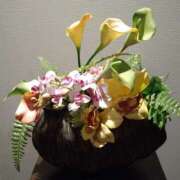 ヒメ日記 2025/07/26 20:45 投稿 めぐみ 人妻の品格(福岡)