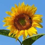 ヒメ日記 2025/08/23 10:15 投稿 めぐみ 人妻の品格(福岡)