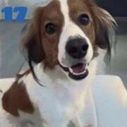 ヒメ日記 2025/10/19 20:56 投稿 めぐみ 人妻の品格(福岡)