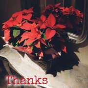 ヒメ日記 2025/11/19 20:45 投稿 めぐみ 人妻の品格(福岡)