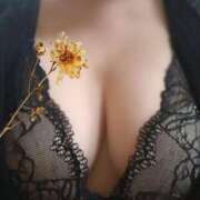 ヒメ日記 2026/03/03 21:14 投稿 めぐみ 人妻の品格(福岡)