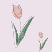 ヒメ日記 2026/03/09 13:18 投稿 めぐみ 人妻の品格(福岡)