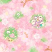 ヒメ日記 2026/04/13 13:59 投稿 めぐみ 人妻の品格(福岡)