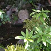 ヒメ日記 2026/05/13 20:45 投稿 めぐみ 人妻の品格(福岡)