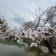 ヒメ日記 2026/04/08 20:20 投稿 ゆり ラブライフさいたま
