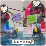 ヒメ日記 2025/01/20 14:18 投稿 いぶき 五反田人妻ヒットパレード（シンデレラグループ）