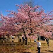 ヒメ日記 2025/03/16 07:45 投稿 いぶき 五反田人妻ヒットパレード（シンデレラグループ）