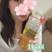 ヒメ日記 2026/04/23 17:52 投稿 いぶき 五反田人妻ヒットパレード（シンデレラグループ）