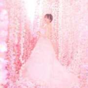 ヒメ日記 2025/03/20 07:25 投稿 くるみ♪ プリティーガール