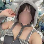 ヒメ日記 2025/09/14 07:45 投稿 くるみ♪ プリティーガール